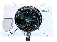 Belluna U205